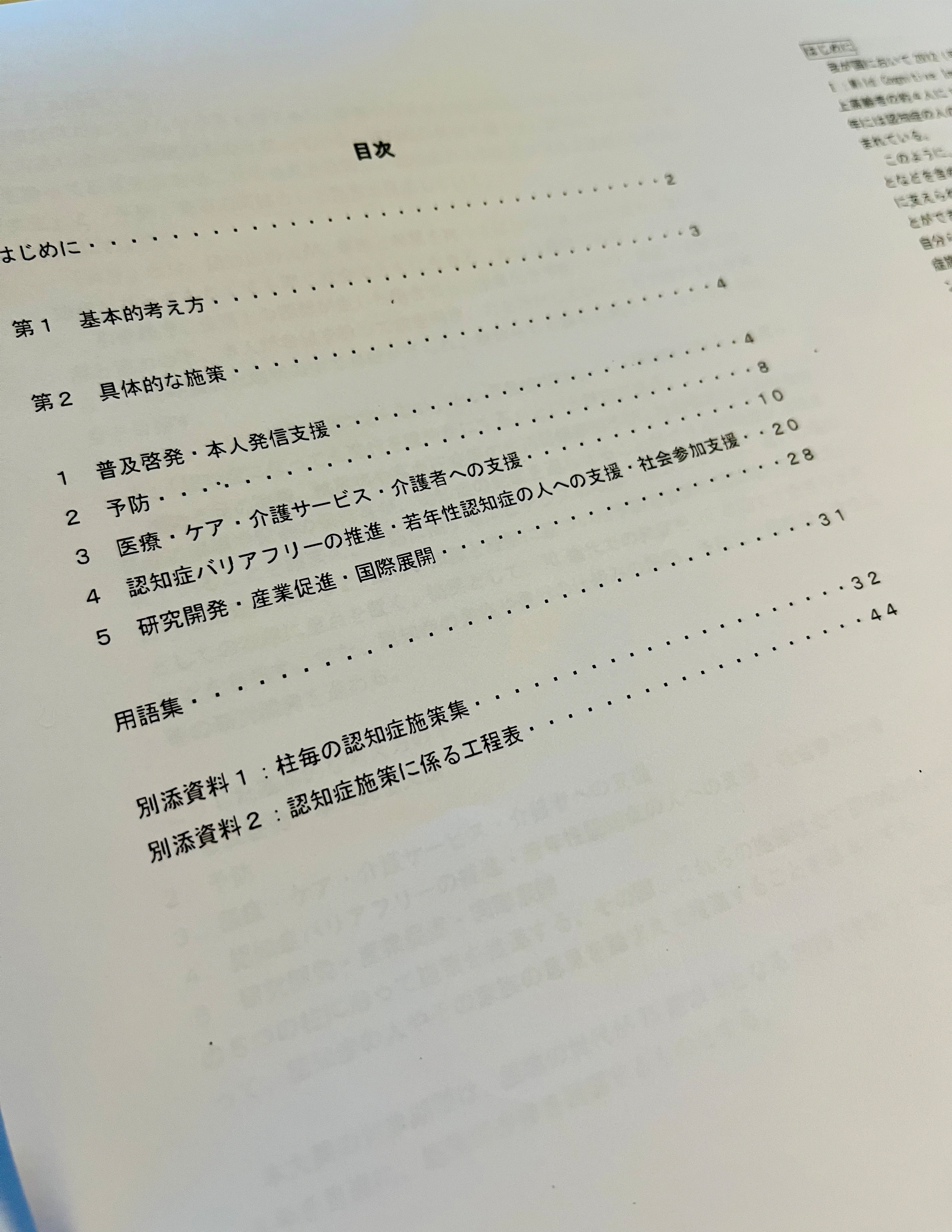 大綱